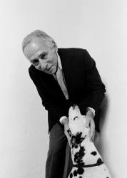 castelli_dog.jpg